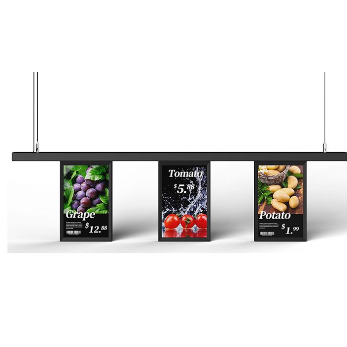 Single Screen10.1 Inch Full Color LcD Signage